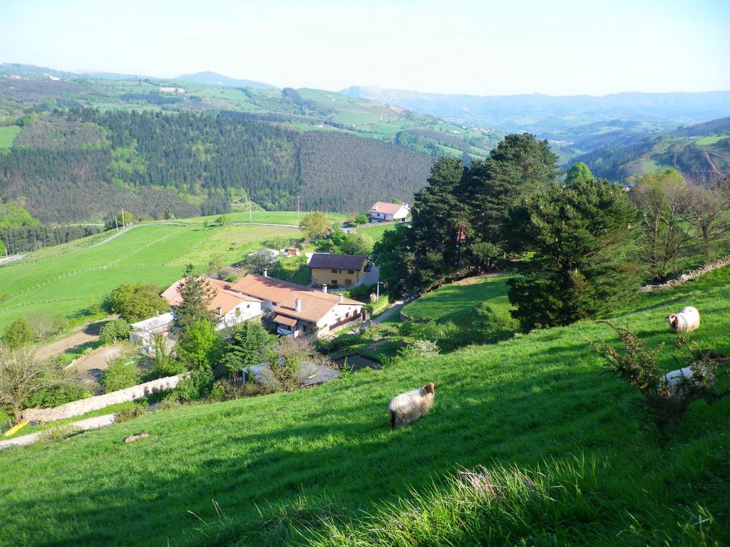 Gailurretan Carranza Exterior foto